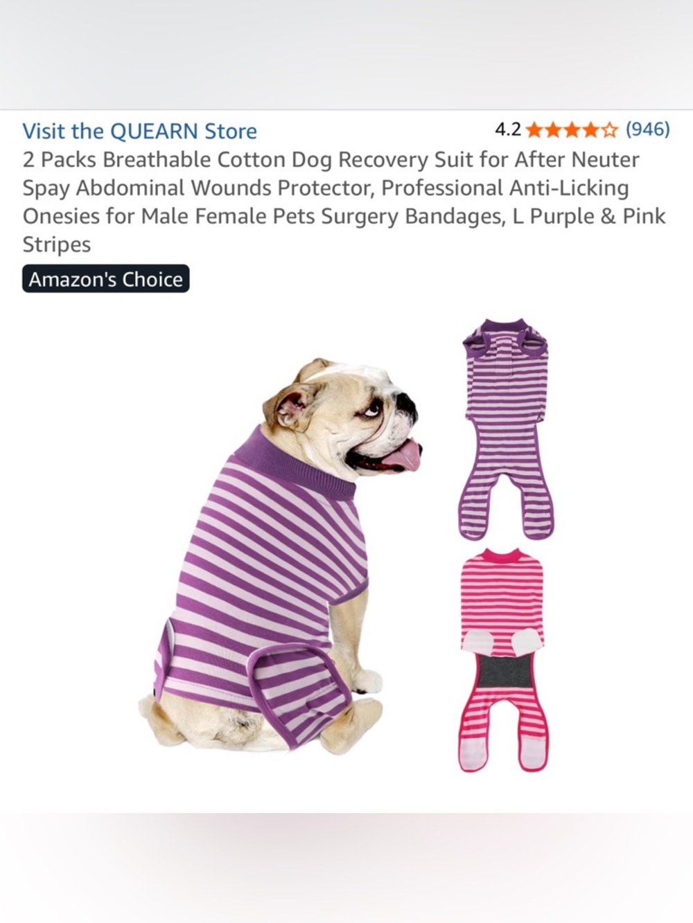Striped Dog Recovery Onesie - Purple & Pink Set
